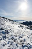 201212291217-AJS_5788.jpg